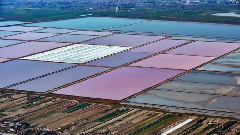Riserva naturale Margherita di Savoia