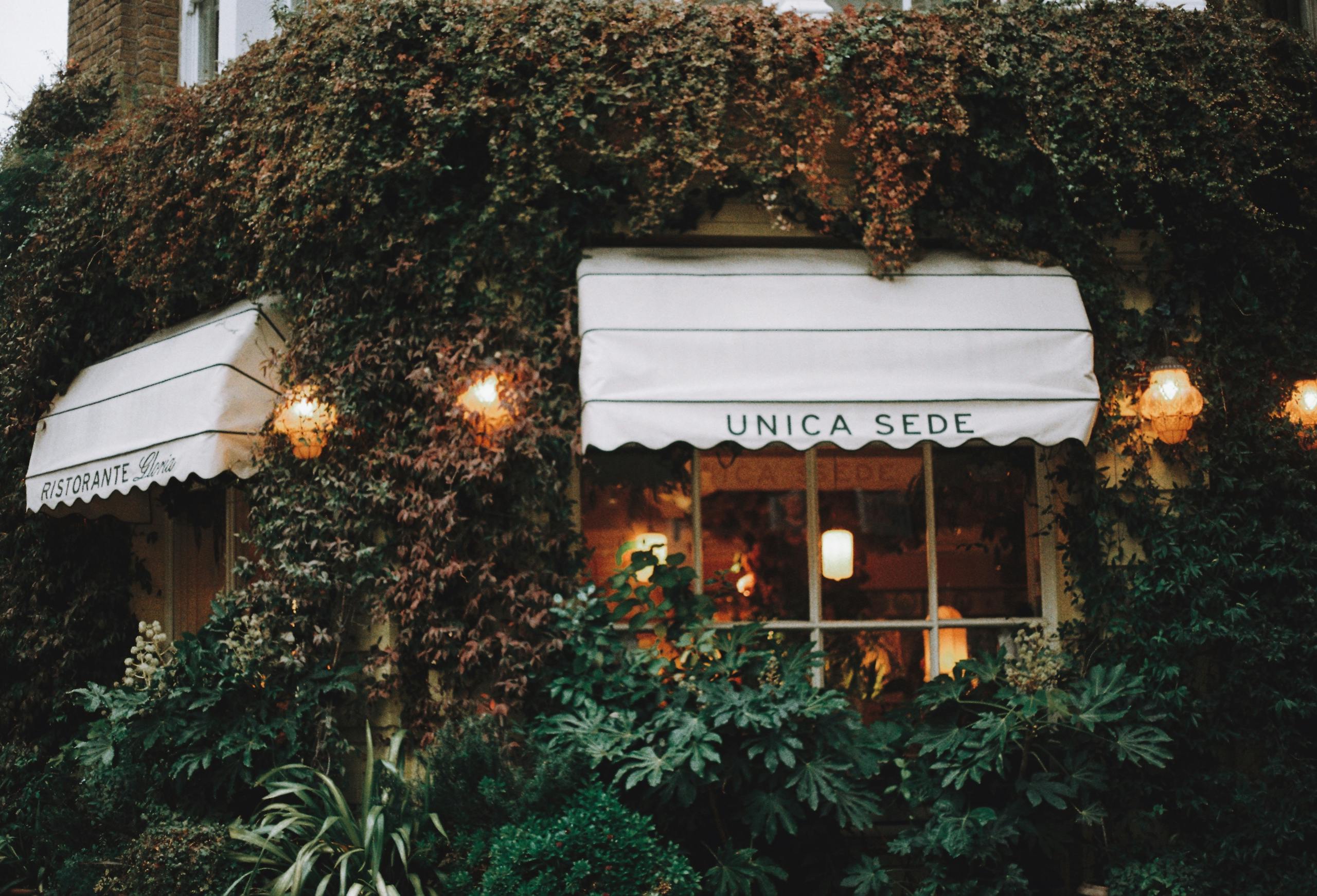 Quaint London restaurant with ivy-clad facade and glowing lights in a cozy atmosphere.
